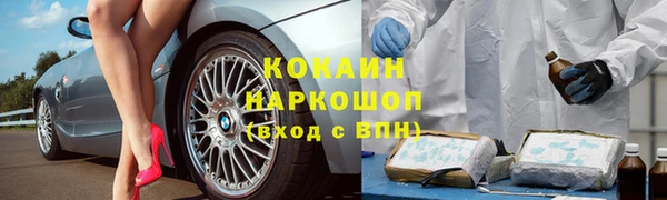дживик Бородино