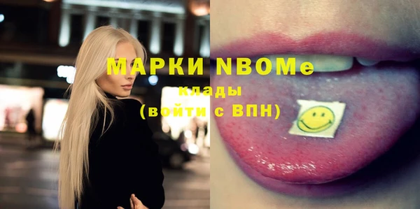 дживик Бородино