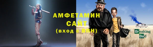 дживик Бородино