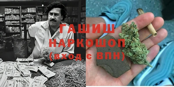 дживик Бородино