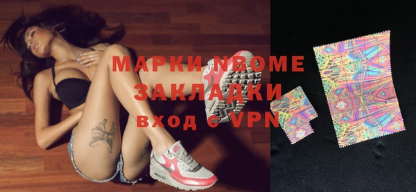 дживик Бородино